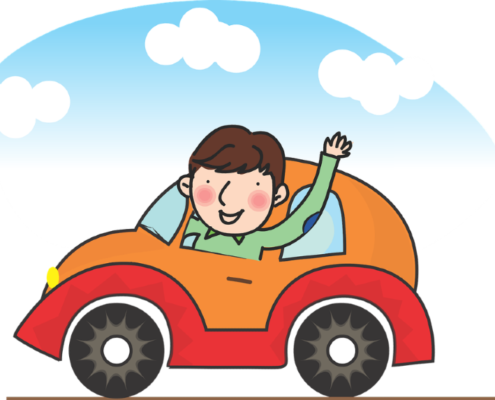 direksiyon dersi com